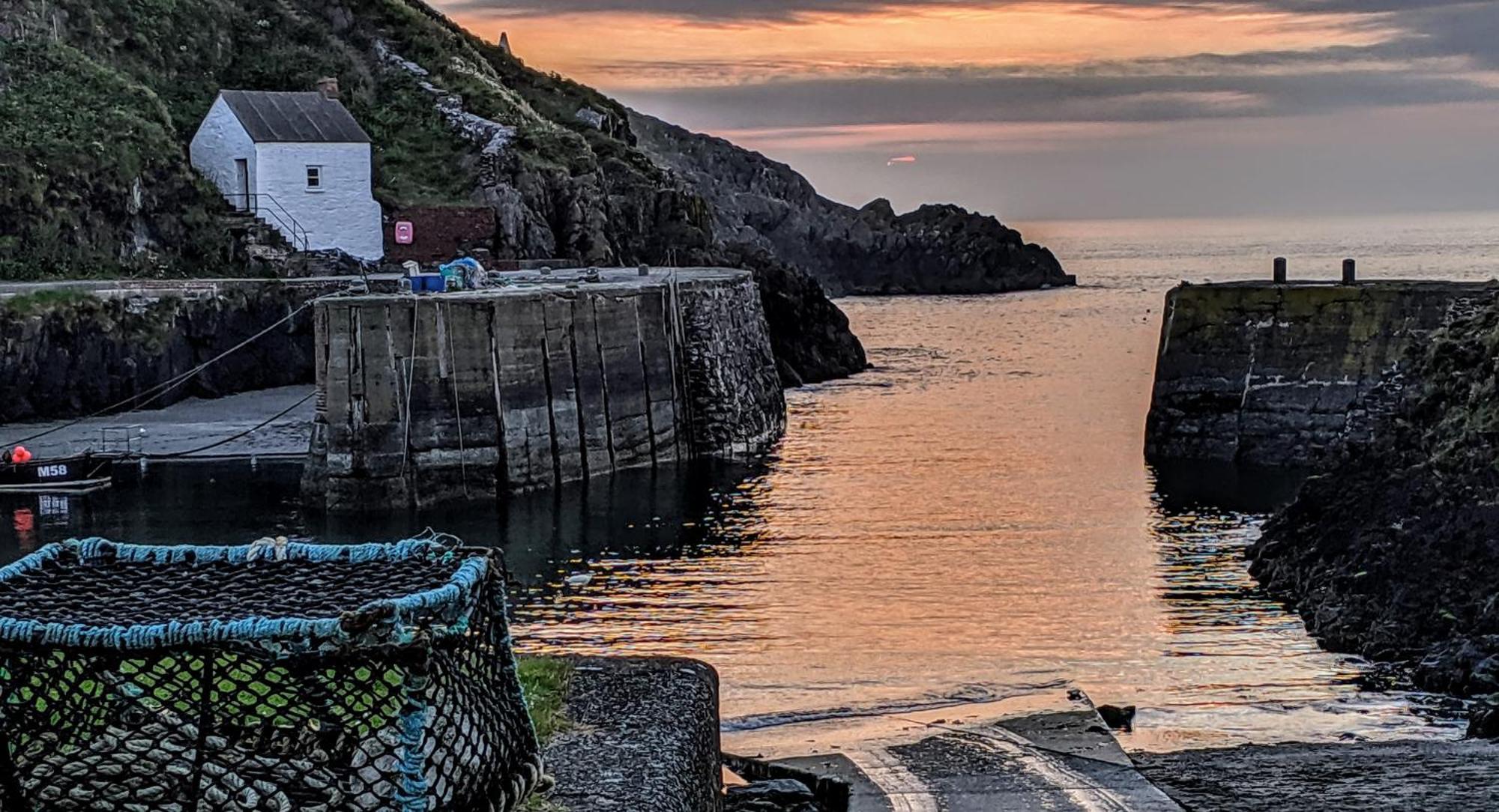 Ivybridge Guesthouse Fishguard Exteriör bild