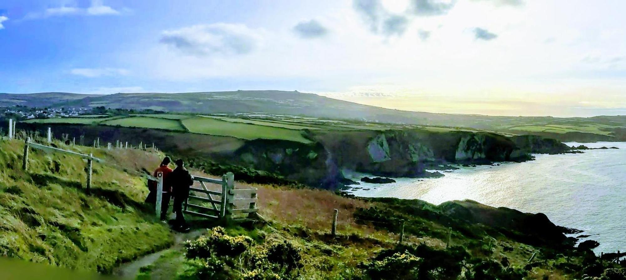 Ivybridge Guesthouse Fishguard Exteriör bild