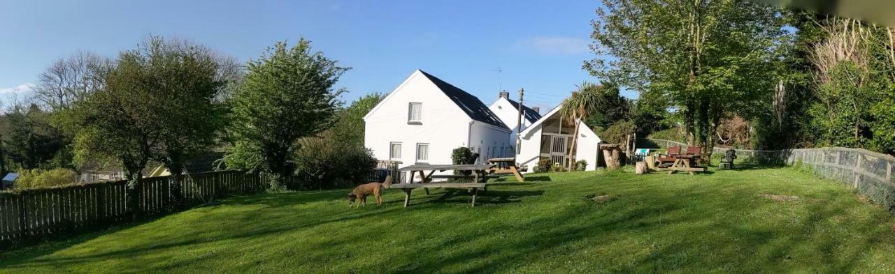 Ivybridge Guesthouse Fishguard Exteriör bild